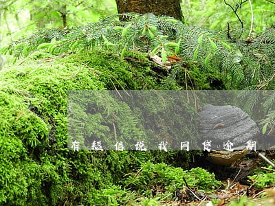 有短信说我网贷逾期 有短信说我网贷逾期