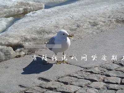 有短信说我网贷逾期名字还是别人 有短信说我网贷逾期名字还是别人