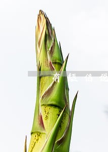有短信说有逾期 有短信说有逾期