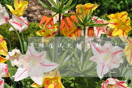 有短信说欠款逾期但名字不是我 有短信说欠款逾期但名字不是我
