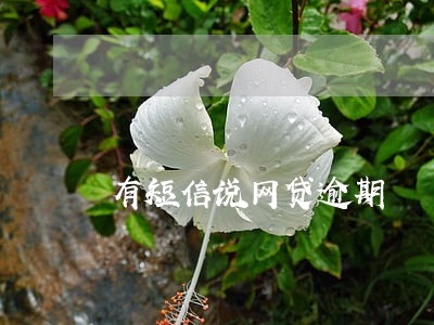 有短信说网贷逾期 有短信说网贷逾期