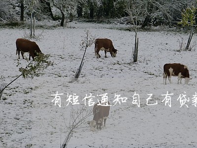 有短信通知自己有贷款逾期 有短信通知自己有贷款逾期
