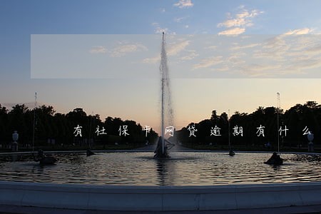 有社保卡网贷逾期有什么影响 有社保卡网贷逾期有什么影响
