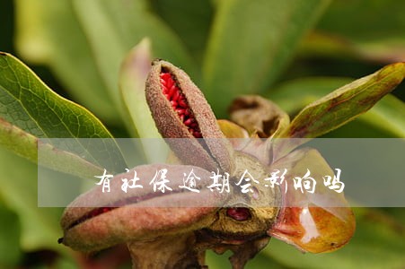 有社保逾期会影响吗