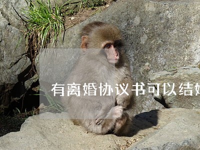 有离婚协议书可以结婚吗