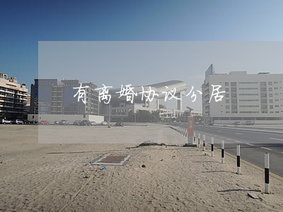 有离婚协议分居 有离婚协议分居