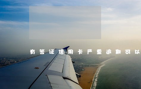 有签证信用卡严重逾期可以出境吗