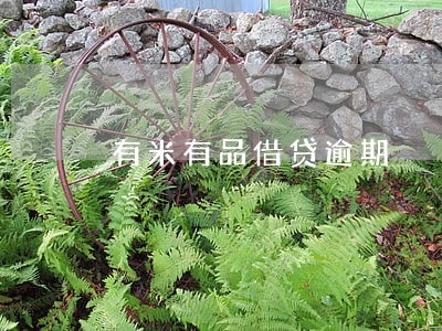 有米有品借贷逾期 有米有品借贷逾期