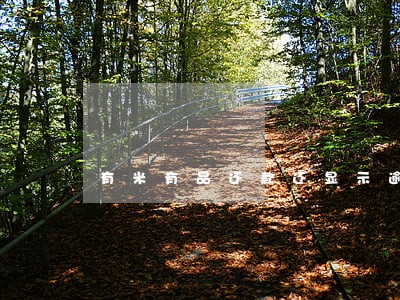 有米有品还款还显示逾期 有米有品还款还显示逾期