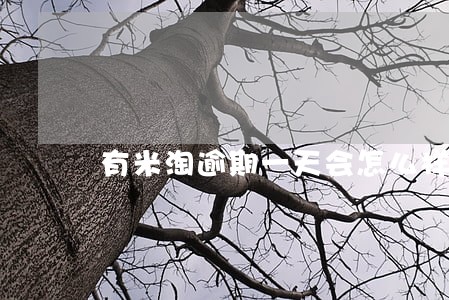 有米淘逾期一天会怎么样 有米淘逾期一天会怎么样