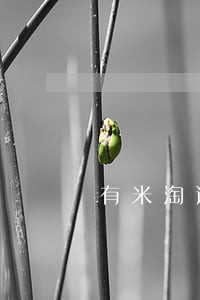 有米淘逾期什么时候打电话 有米淘逾期什么时候打电话
