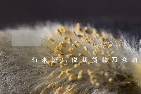 有米短信说我贷款万众逾期 有米短信说我贷款万众逾期