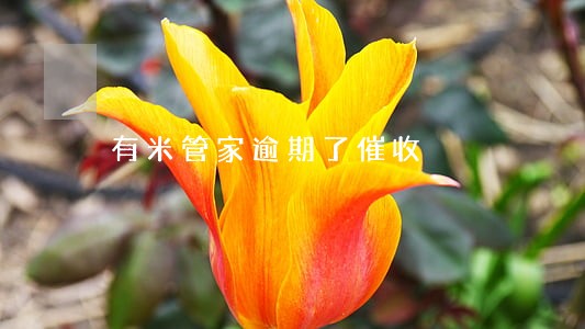 有米管家逾期了催收 有米管家逾期了催收