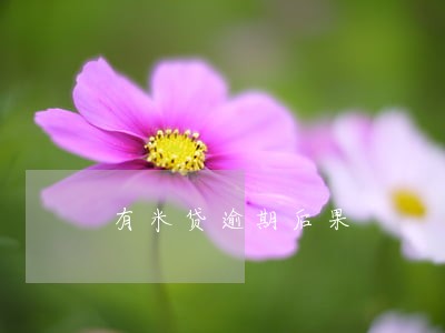 有米贷逾期后果 有米贷逾期后果