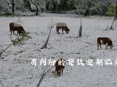 有纠纷的贷款逾期记录可以撤销 有纠纷的贷款逾期记录可以撤销