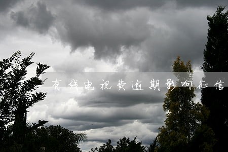 有线电视费逾期影响征信吗