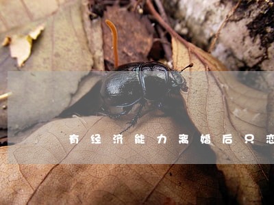 有经济能力离婚后只恋爱不结婚 有经济能力离婚后只恋爱不结婚