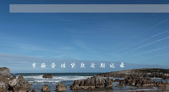 有经营性贷款逾期记录 有经营性贷款逾期记录
