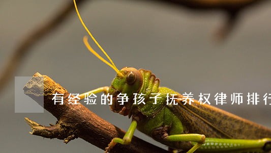 有经验的争孩子抚养权律师排行 有经验的争孩子抚养权律师排行