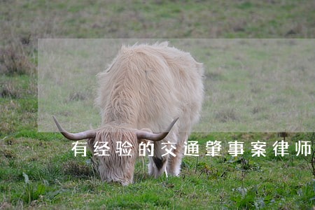 有经验的交通肇事案律师推荐 有经验的交通肇事案律师推荐