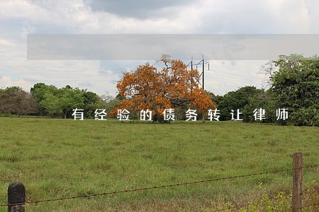 有经验的债务转让律师 有经验的债务转让律师