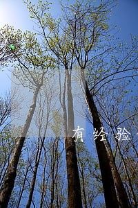 有经验的公司企业律师费怎么算 有经验的公司企业律师费怎么算