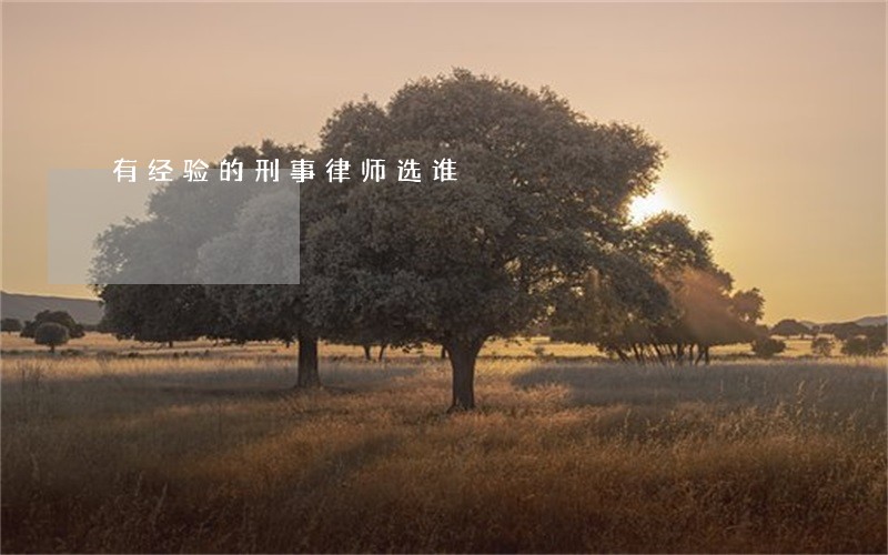 有经验的刑事律师选谁 有经验的刑事律师选谁