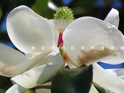 有经验的民间借贷律师收费 有经验的民间借贷律师收费