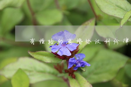 有经验的离婚协议纠纷律师咨询 有经验的离婚协议纠纷律师咨询