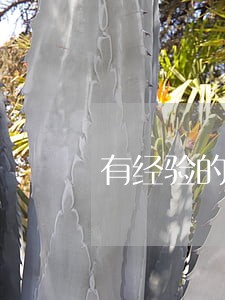 有经验的离婚律师诉讼费 有经验的离婚律师诉讼费