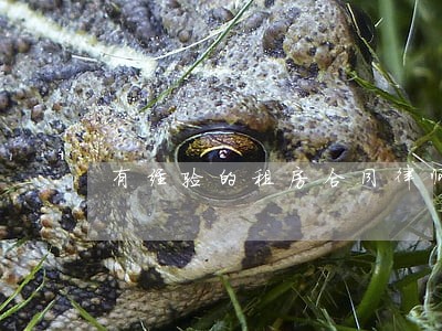 有经验的租房合同律师费用多少 有经验的租房合同律师费用多少