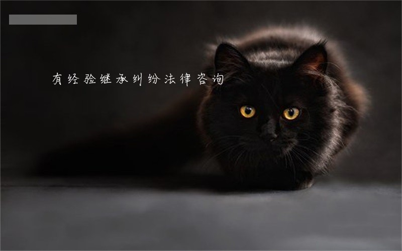 有经验继承纠纷法律咨询 有经验继承纠纷法律咨询