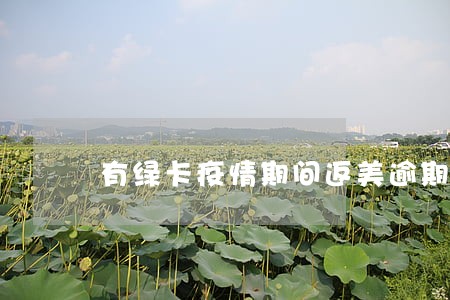 有绿卡疫情期间返美逾期怎么办 有绿卡疫情期间返美逾期怎么办
