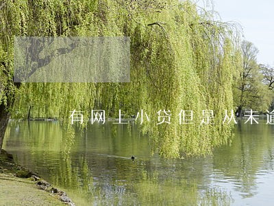 有网上小贷但是从未逾期