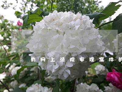 有网上法院审理案件的吗 有网上法院审理案件的吗