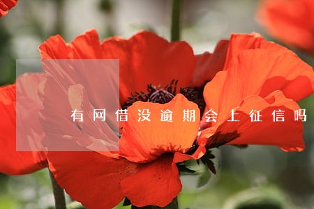 有网借没逾期会上征信吗 有网借没逾期会上征信吗