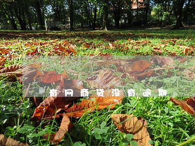 有网商贷没有逾期 有网商贷没有逾期