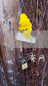 有网商贷逾期一年的吗 有网商贷逾期一年的吗
