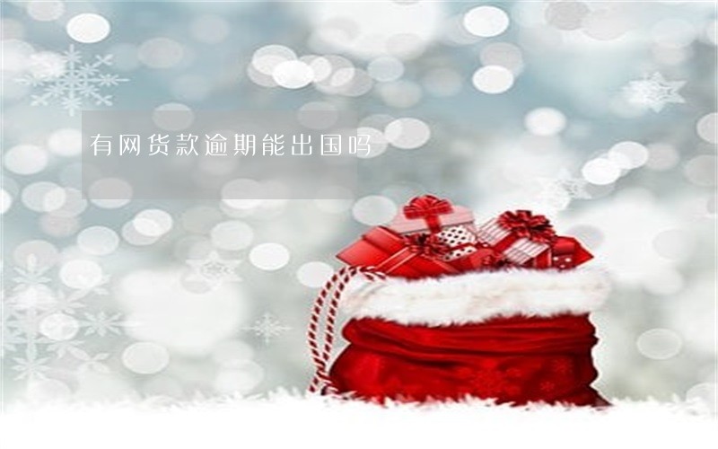 有网货款逾期能出国吗 有网货款逾期能出国吗