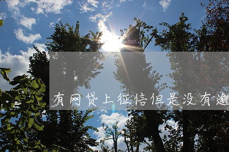 有网贷上征信但是没有逾期