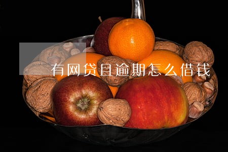 有网贷且逾期怎么借钱 有网贷且逾期怎么借钱