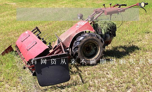有网贷从来不逾期影响买房吗 有网贷从来不逾期影响买房吗