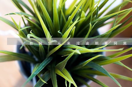 有网贷从来没逾期算网黑么 有网贷从来没逾期算网黑么