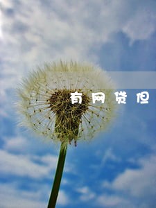 有网贷但从未逾期有固定收入 有网贷但从未逾期有固定收入