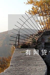 有网贷但是没有逾期可以政审吗 有网贷但是没有逾期可以政审吗