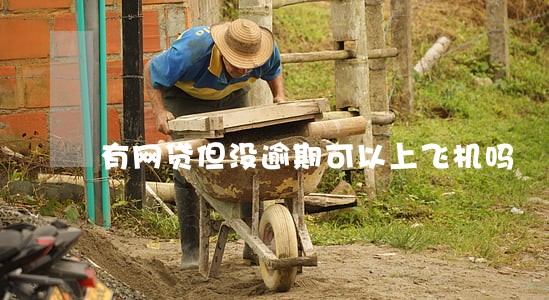 有网贷但没逾期可以上飞机吗 有网贷但没逾期可以上飞机吗