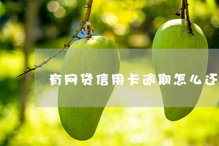 有网贷信用卡逾期怎么还能搞点钱 有网贷信用卡逾期怎么还能搞点钱
