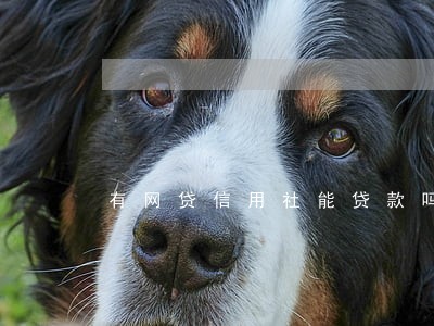 有网贷信用社能贷款吗无逾期 有网贷信用社能贷款吗无逾期