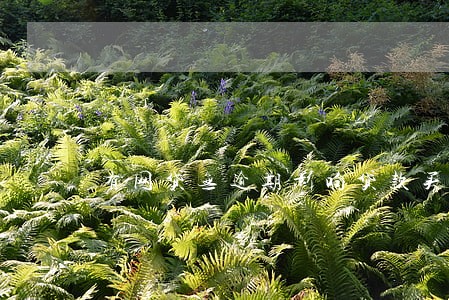有网贷无逾期影响贷款买房吗 有网贷无逾期影响贷款买房吗