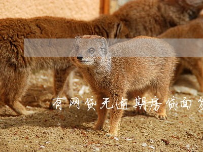 有网贷无逾期房贷面签过了 有网贷无逾期房贷面签过了